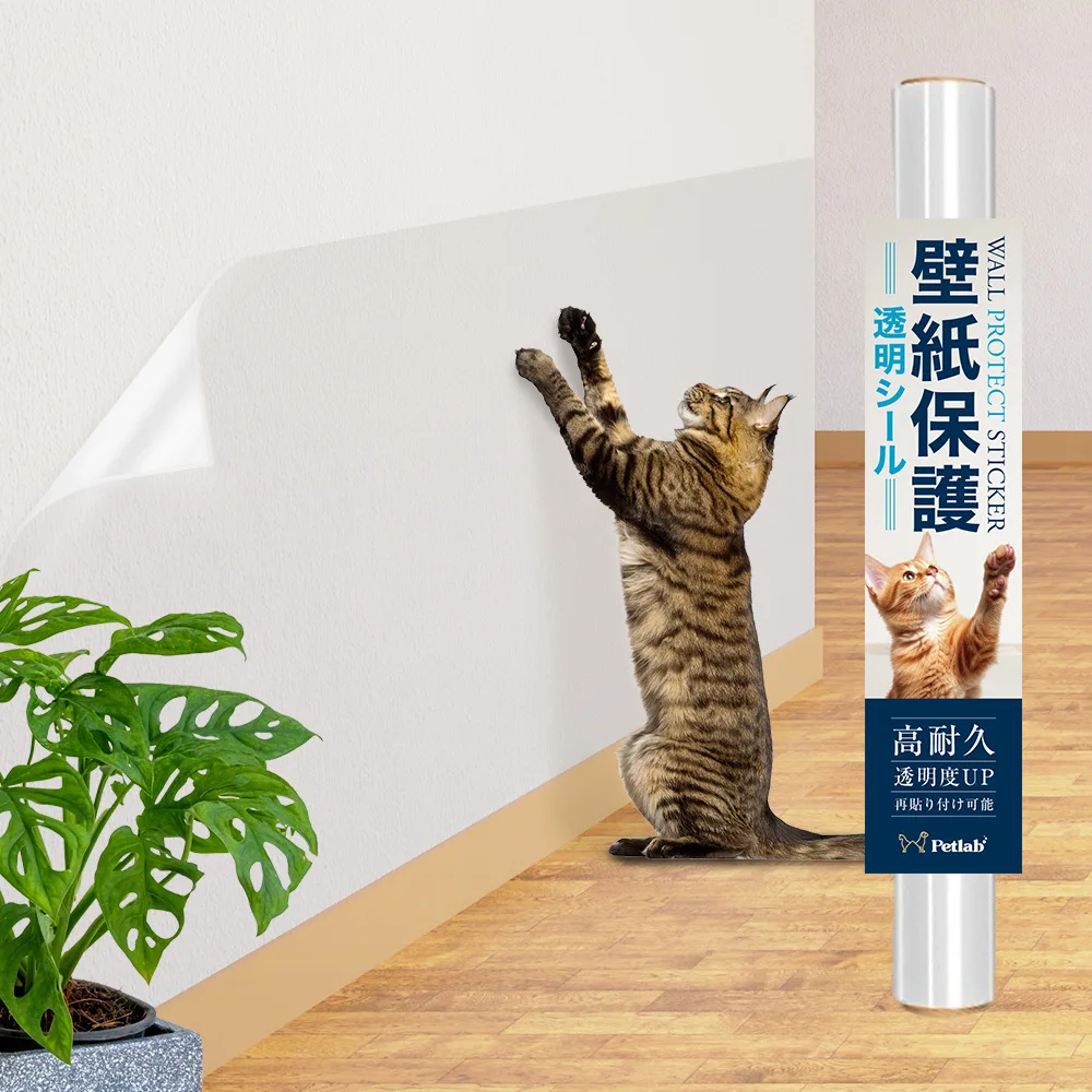 壁保護シート